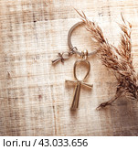 Egyptian Cross Ankh. Стоковое фото, фотограф Любовь Назарова / Фотобанк Лори
