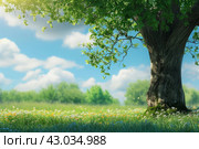 Verdant Arbor tree day nature. Generate Ai. Стоковое AI-изображение, AI-художник Иван Рябоконь / Фотобанк Лори