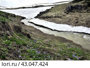 Ущелье реки Курджипс, Плато Лаго-Наки, Адыгея. Стоковое фото, фотограф Оглоблин Андрей Николаевич / Фотобанк Лори
