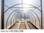 A new greenhouse made of polyethylene and polycarbonate with new beds made of Wood-polymer composite. Preparing for the spring garden season. Installation of a greenhouse in a suburban area. Стоковое фото, фотограф Photojuli / Фотобанк Лори