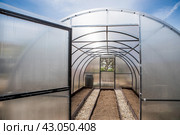 A new greenhouse made of polyethylene and polycarbonate with new beds made of Wood-polymer composite. Preparing for the spring garden season. Installation of a greenhouse in a suburban area. Стоковое фото, фотограф Photojuli / Фотобанк Лори