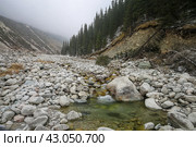 Ущелье Ала-Арча, Бишкек, Кыргызстан. Стоковое фото, фотограф Римма Тельнова / Фотобанк Лори
