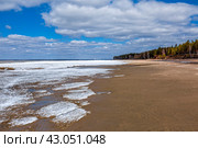 Обмелевшее побережье Обского водохранилища после сброса воды. Бердск. Новосибирская область. Западная Сибирь. Апрель. Стоковое фото, фотограф Евгений Мухортов / Фотобанк Лори