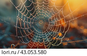 Cobweb or spiderweb natural rain pattern background close-up. Cobweb with drops of rain pattern in blue light. Cobweb net texture with morning rain bokeh. Partial blur view lines spider web necklace. Стоковое AI-видео, аниматор Ирина Михайличенко / Фотобанк Лори