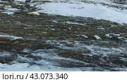 Словенские ключи — расположенные на берегу Городищенского озера (2024 год). Редакционное видео, видеограф Светлана Качанова / Фотобанк Лори
