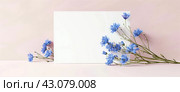 Elegant Blue Flowers and Blank Canvas on Pastel Background, ai-generated item. Стоковое AI-изображение, AI-художник Юлия Паутова / Фотобанк Лори