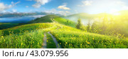 A pristine path winds through a lush green mountain meadow at sunrise. The morning light bathes the landscape in a soft glow, emphasizing tranquility and freshness. Стоковое AI-изображение, AI-художник Igor Tichonow / Фотобанк Лори