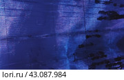 Музей цифрового искусства teamLab Borderless в Токио, Япония (2024 год). Редакционное видео, видеограф Владимир Макеев / Фотобанк Лори