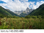 View of the floodplain of the Gonachkhir River in the northern foothills of the Caucasus Mountains near the village of Dombay on a sunny summer day, Karachay-Cherkessia, Russia. Стоковое фото, фотограф Ula Ulachka / Фотобанк Лори