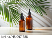 Aromatherapy. A glass bottle with a pipette for oil, lotion and palm leaves on a concrete background. Natural organic eco-cosmetics. The layout of the corporate identity of the beauty salon. Стоковое AI-изображение, AI-художник Photojuli / Фотобанк Лори