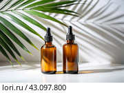 Aromatherapy. A glass bottle with a pipette for oil, lotion and palm leaves on a concrete background. Natural organic eco-cosmetics. The layout of the corporate identity of the beauty salon. Стоковое AI-изображение, AI-художник Photojuli / Фотобанк Лори