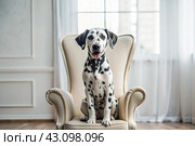 Portrait of a cute joyful Dalmatian dog. A banner with the image of a pet dog in the interior of a white and black living room. Стоковое AI-изображение, AI-художник Photojuli / Фотобанк Лори
