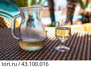 Запотевший кувшин и бокал холодного белого вина в жаркий летний день.  Misted jug and glass of cold white wine on a hot summer day. Стоковое фото, фотограф Лариса Гордеева / Фотобанк Лори