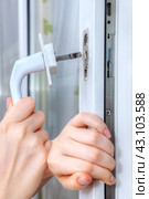 Mounting handle on double hung window with double-glazed. Стоковое фото, фотограф Владимир Григорьев / Фотобанк Лори