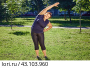 Fat European woman is doing standing side bends exercise on lawn in park. Стоковое фото, фотограф Владимир Григорьев / Фотобанк Лори