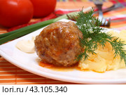 Мясные тефтели с картофельным пюре на тарелке. Стоковое фото, фотограф Дорощенко Элла / Фотобанк Лори