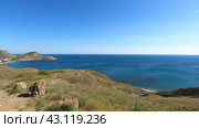 Крым, Орджоникидзе, Черное море, горе, морская бухта Провато (2024 год). Стоковое видео, видеограф Андрей Макаренко / Фотобанк Лори