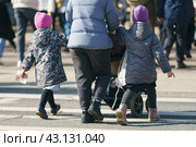 Family with many small children walks on the spring city street. One of them is toddler. Pedestrian crosswalk. They cross the street. Time for leisure and walking. Low angle view. Backs, rear view (2023) Редакционное фото, фотограф YuryKara / Фотобанк Лори