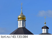 Бобренев монастырь, город Коломна (2024 год). Редакционное фото, фотограф Natalia Sidorova / Фотобанк Лори