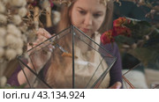 A female artist uses colored, stabilized sand to create a beautiful composition inside a florarium (2024 год). Редакционное видео, видеограф Strunov David / Фотобанк Лори