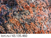 Multi-coloured granite texture background. Стоковое фото, фотограф Iva Noel / Фотобанк Лори