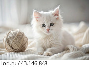 Pets. A small fluffy white kitten is playing with a ball of yarn on a white bed. A curious kitten lies on a white blanket and looks at the camera. Textiles, knitting. Стоковое AI-изображение, AI-художник Photojuli / Фотобанк Лори