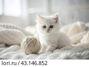 Pets. A small fluffy white kitten is playing with a ball of yarn on a white bed. A curious kitten lies on a white blanket and looks at the camera. Textiles, knitting. Стоковое AI-изображение, AI-художник Photojuli / Фотобанк Лори