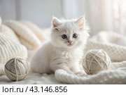 Pets. A small fluffy white kitten is playing with a ball of yarn on a white bed. A curious kitten lies on a white blanket and looks at the camera. Textiles, knitting. Стоковое AI-изображение, AI-художник Photojuli / Фотобанк Лори