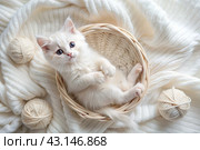 Pets. A small fluffy white kitten is playing with a ball of yarn on a white bed. A curious kitten lies on a white blanket and looks at the camera. Textiles, knitting. Стоковое AI-изображение, AI-художник Photojuli / Фотобанк Лори