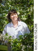Girl walking and Relaxing near Blossoming apple Tree on Sunny Day. Portrait of Middle aged woman enjoying nature surrounded by white blossoms. Стоковое фото, фотограф Кривошеина Елена Леонидовна / Фотобанк Лори