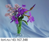 Букет из ирисов и сирени. Стоковое фото, фотограф Ольга Дмитренко / Фотобанк Лори
