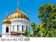 Купола храма Христа Спасителя. Солнечный весенний день. Москва. Россия (2024 год). Стоковое фото, фотограф E. O. / Фотобанк Лори