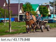 Запряжённая в телегу лошадь на улице села. Стоковое фото, фотограф Дмитрий УТКИН / Фотобанк Лори