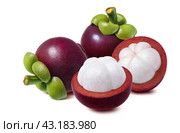 Fresh mangosteen. Whole and halves isolated on white background. Стоковое фото, фотограф Катерина Ковалева / Фотобанк Лори