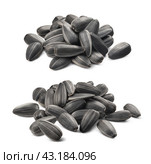 Two piles of black sunflower seeds isolated on white background. Стоковое фото, фотограф Катерина Ковалева / Фотобанк Лори