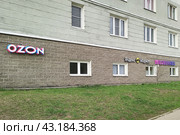 Вывески "Ozon, "Яндекс Маркет" и "Wildberries" (2024 год). Редакционное фото, фотограф Светлана Качанова / Фотобанк Лори