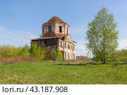 Всехсвятская церковь, село Мыт, Ивановская область (2024 год). Редакционное фото, фотограф Ирина Яровая / Фотобанк Лори