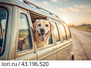 The concept of traveling with animals. A dog sticks its head out of the window of a car, a tourist van during a trip on a hot sunny day. Стоковое AI-изображение, AI-художник Photojuli / Фотобанк Лори