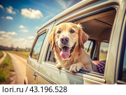 The concept of traveling with animals. A dog sticks its head out of the window of a car, a tourist van during a trip on a hot sunny day. Стоковое AI-изображение, AI-художник Photojuli / Фотобанк Лори