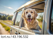 The concept of traveling with animals. A dog sticks its head out of the window of a car, a tourist van during a trip on a hot sunny day. Стоковое AI-изображение, AI-художник Photojuli / Фотобанк Лори