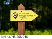 Указатель с надписью «Большая Валдайская тропа». Туристическая экологическая тропа в лесу. Походы и путешествия по лесу. Экологический туризм и активный отдых на природе. Валдайский национальный парк, Новгородская область, Россия. Редакционное фото, фотограф Андрей Степанов / Фотобанк Лори