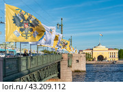 Украшенный флагами в преддверии праздника Дня города (27 мая) Дворцовый мост в Санкт-Петербурге (2024 год). Редакционное фото, фотограф Румянцева Наталия / Фотобанк Лори