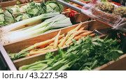 Colorful market counter with large assortment of farm fresh organic vegetables for sale. Стоковое видео, видеограф Яков Филимонов / Фотобанк Лори