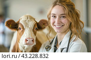 A female vet smiles holding a brown and white cow, commonly used in dairy farming. Стоковое AI-изображение, AI-художник Юрий Поздников / Фотобанк Лори