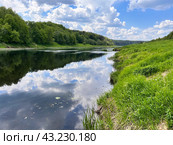 Зеленые берега вдоль русла реки Угра. В спокойной воде отражаются небо и белые облака. Типичный пейзаж средней полосы России. Калужская область. (2024 год). Стоковое фото, фотограф Сергей Никифоров-Гордеев / Фотобанк Лори