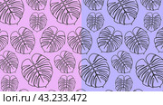 Контурный узор с листьями монстеры. Contour pattern with monstera leaves. Редакционная иллюстрация, иллюстратор Ирина Щербакова / Фотобанк Лори