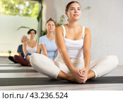 Concentrated young woman performing Butterfly Pose Baddha Konasana during yoga class with female group. Стоковое фото, фотограф Яков Филимонов / Фотобанк Лори