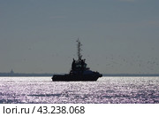 Буксир "Грифон-7" ожидает подхода проводимого судна, Морской канал, Санкт-Петербург (2018 год). Стоковое фото, фотограф Алексей Иванов / Фотобанк Лори