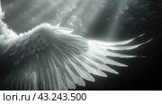 Крупный план крыла ангела, сквозь которое просвечивает солнце. Closeup of angels wings with sun shining through. Стоковое AI-изображение, AI-художник Katsiaryna Repich / Фотобанк Лори