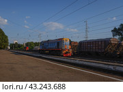 Маневровый тепловоз ТЭМ2У на железнодорожной станции Михайлов в Рязанской области. Солнечный летний день (2021 год). Редакционное фото, фотограф Александр Кузнецов / Фотобанк Лори